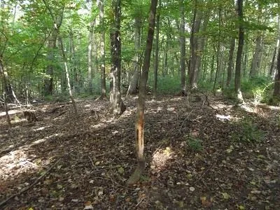 $420,000 | 28-acres Sand Hill Road, Boscobel, WI 53805