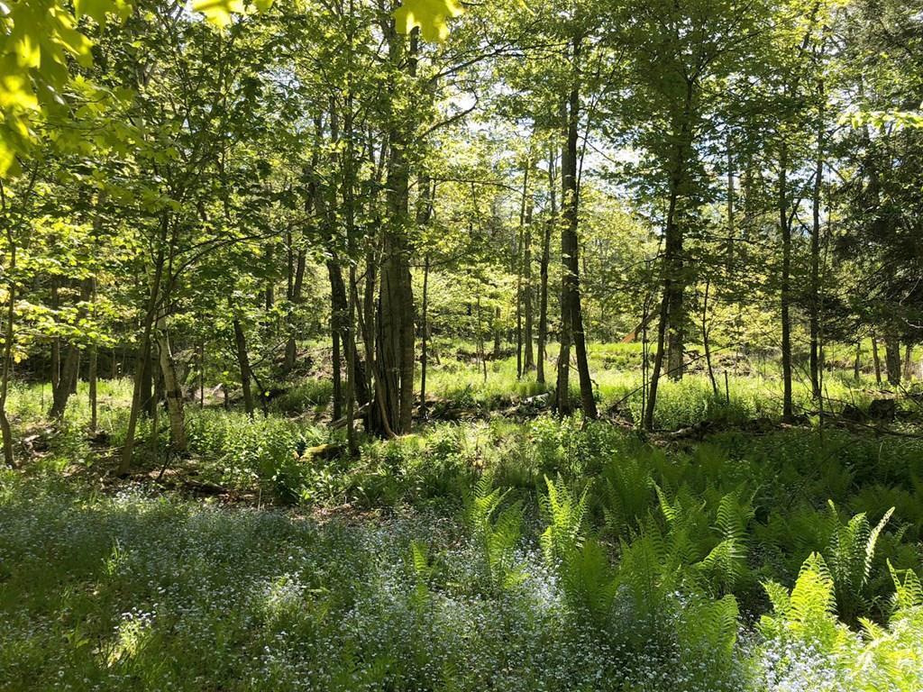 0 Swenson Road Washington Island, WI 54246 - Photo 1 of 3