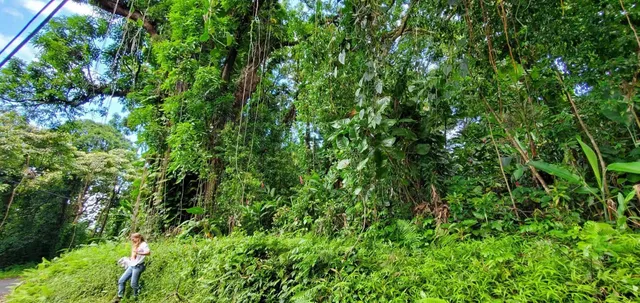 $325,000 | 772 Nahiku Road, Haiku, HI 96708