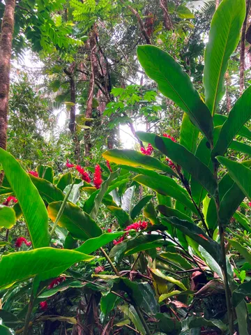 $325,000 | 772 Nahiku Road, Haiku, HI 96708