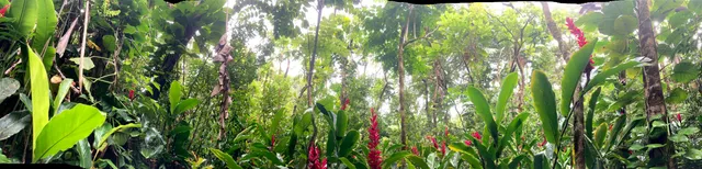 $325,000 | 772 Nahiku Road, Haiku, HI 96708