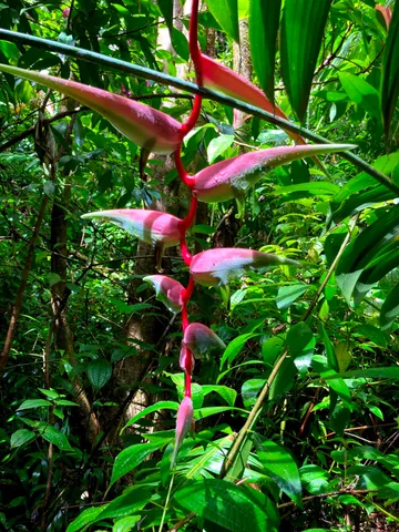 $325,000 | 772 Nahiku Road, Haiku, HI 96708