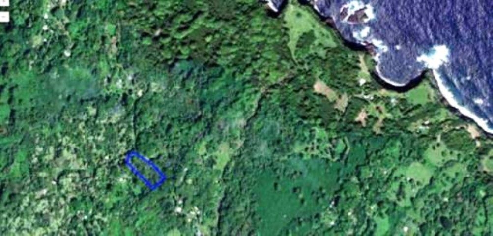 772 Nahiku Road Haiku, HI 96708 - Photo 2 of 30 a backyard of a house with lots of green space