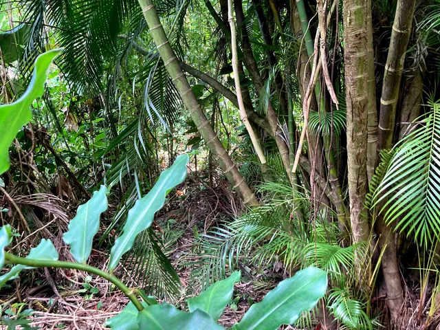 $325,000 | 772 Nahiku Road, Haiku, HI 96708