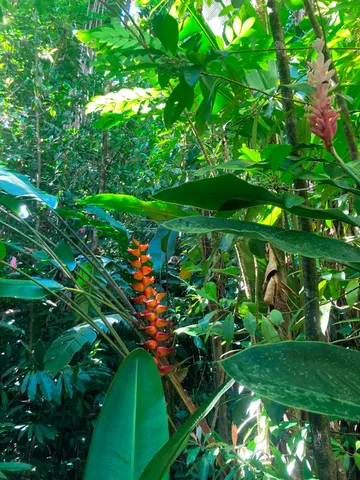 $325,000 | 772 Nahiku Road, Haiku, HI 96708