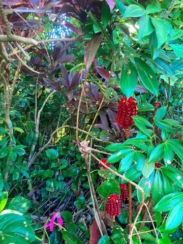 $325,000 | 772 Nahiku Road, Haiku, HI 96708