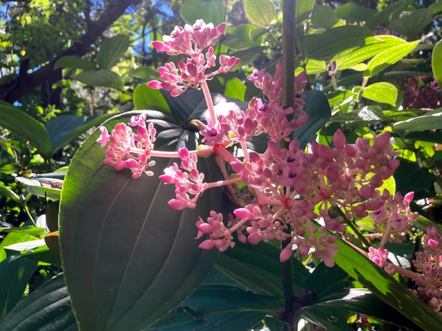 $325,000 | 772 Nahiku Road, Haiku, HI 96708