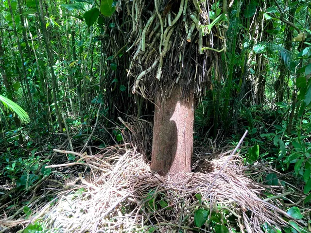 $325,000 | 772 Nahiku Road, Haiku, HI 96708