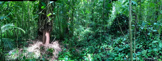 $325,000 | 772 Nahiku Road, Haiku, HI 96708