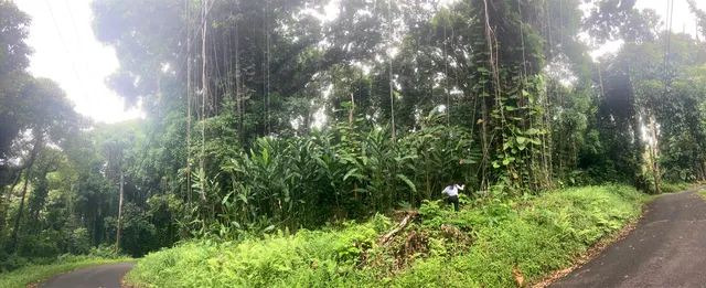 $325,000 | 772 Nahiku Road, Haiku, HI 96708