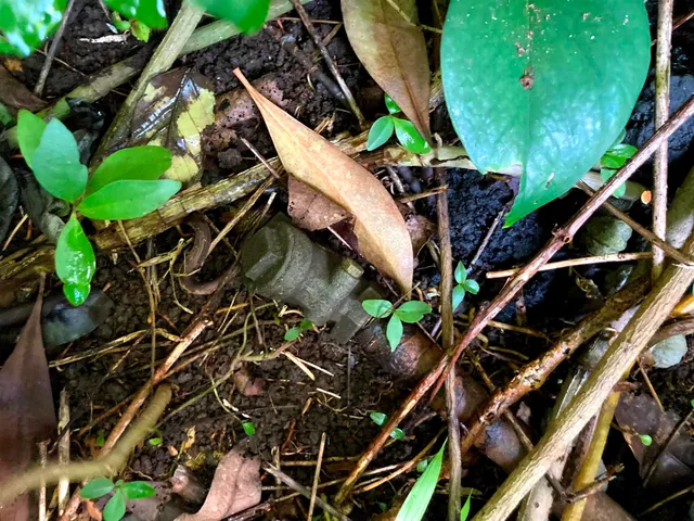 $325,000 | 772 Nahiku Road, Haiku, HI 96708