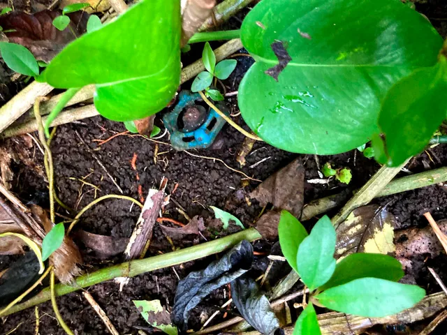 $325,000 | 772 Nahiku Road, Haiku, HI 96708