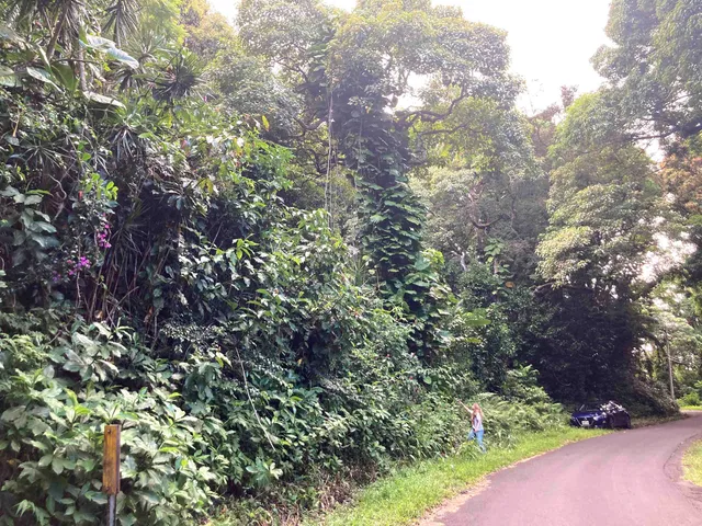 $325,000 | 772 Nahiku Road, Haiku, HI 96708