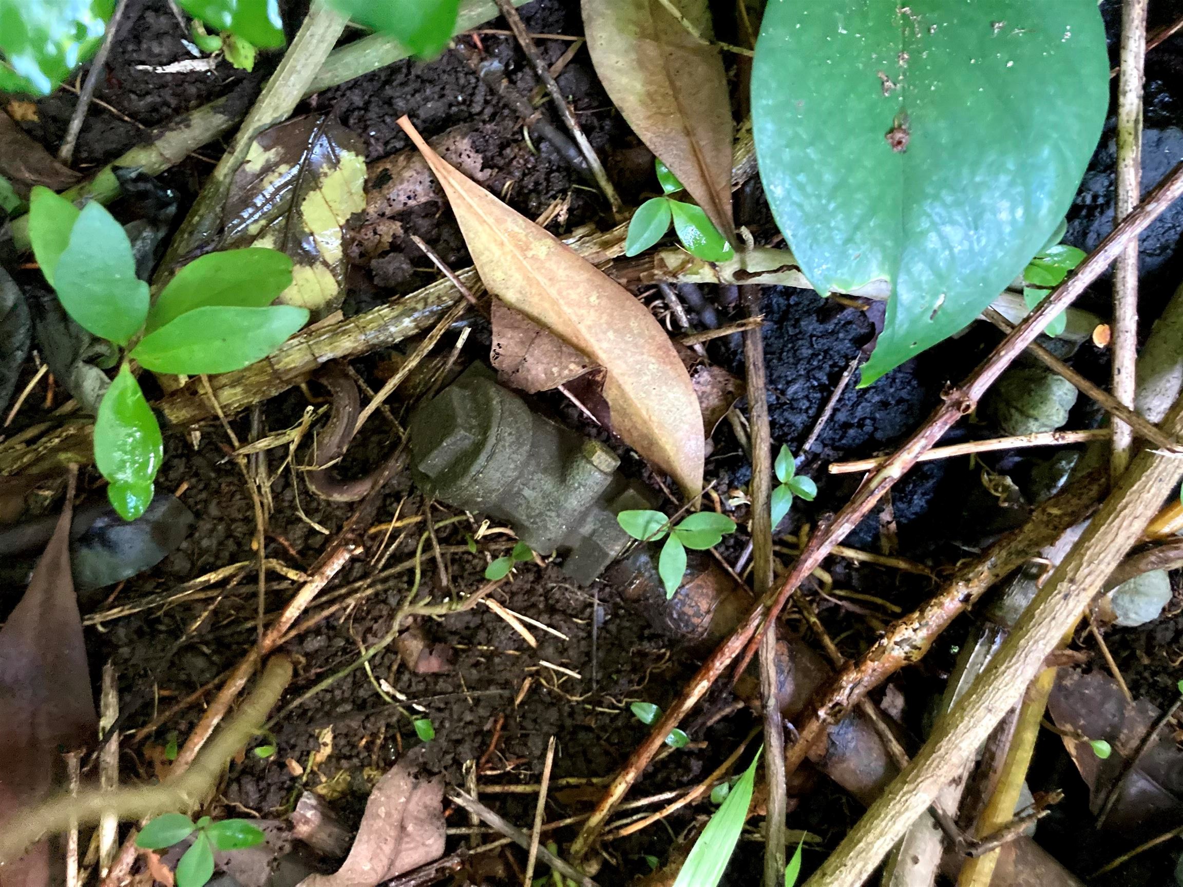 772 Nahiku Road Haiku, HI 96708 - Photo 10 of 30 a view of an outdoor space
