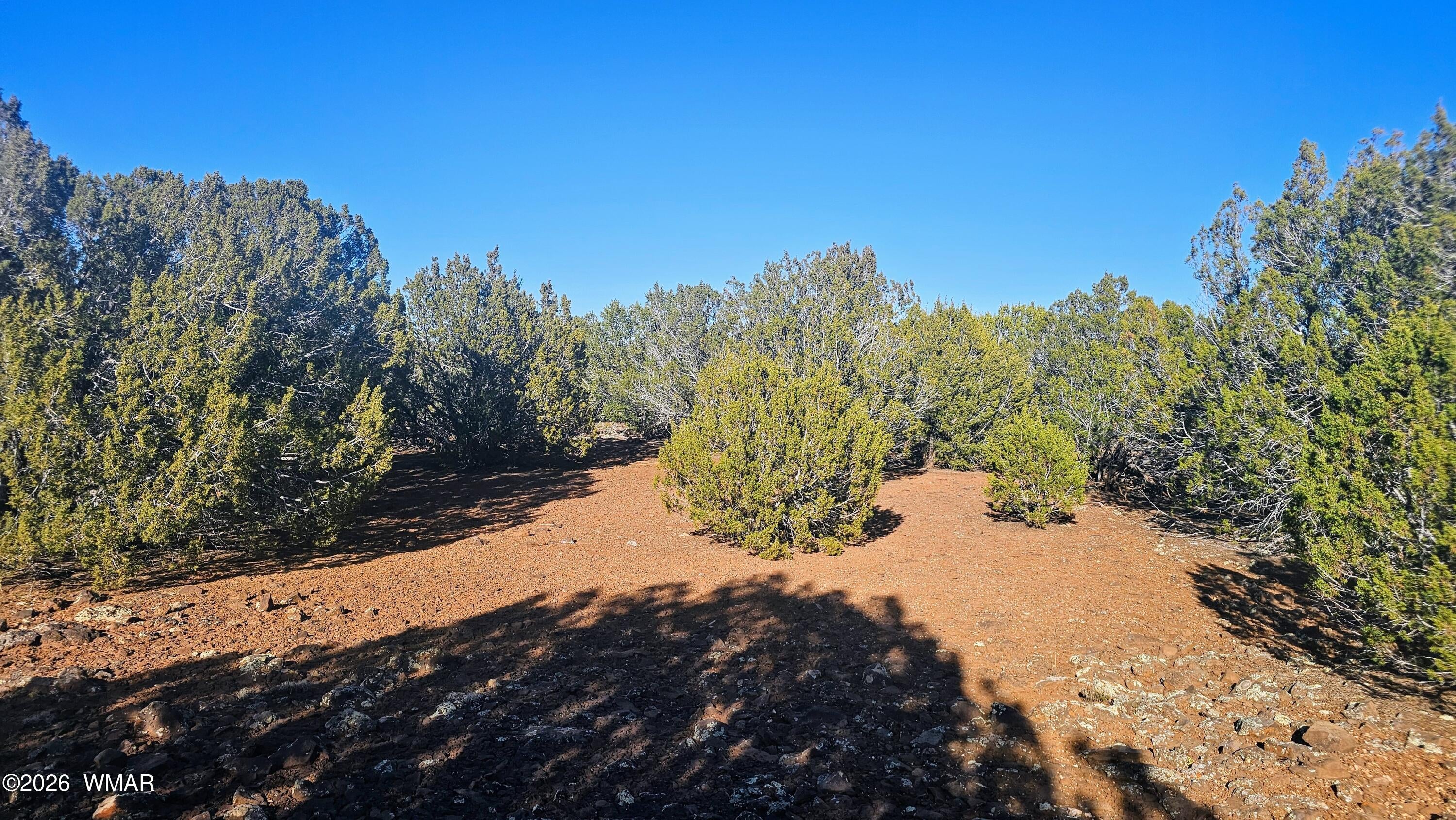 9383 Bald Eagle Road Show Low, AZ 85901 - Photo 14 of 29 Gallery Image 14