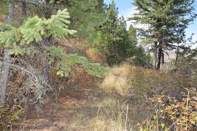 $579,000 | 271 Mule Deer Drive, Kamiah, ID 83536