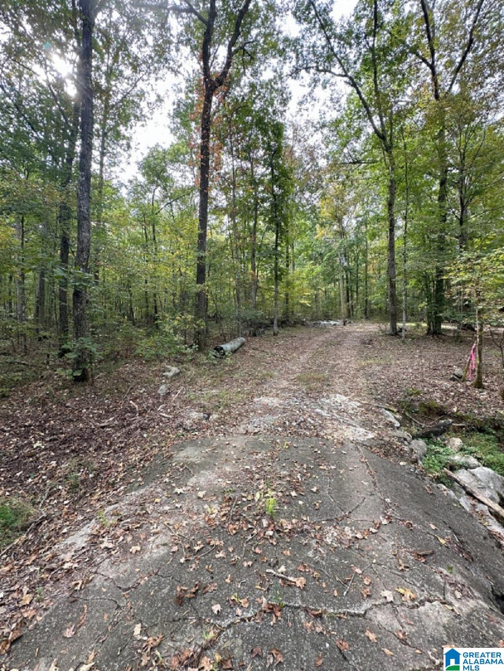 0 Cathedral Caverns Road Woodville, AL 35776 - Photo 6 of 14