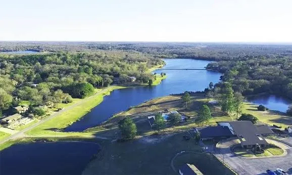 a view of a park with large trees