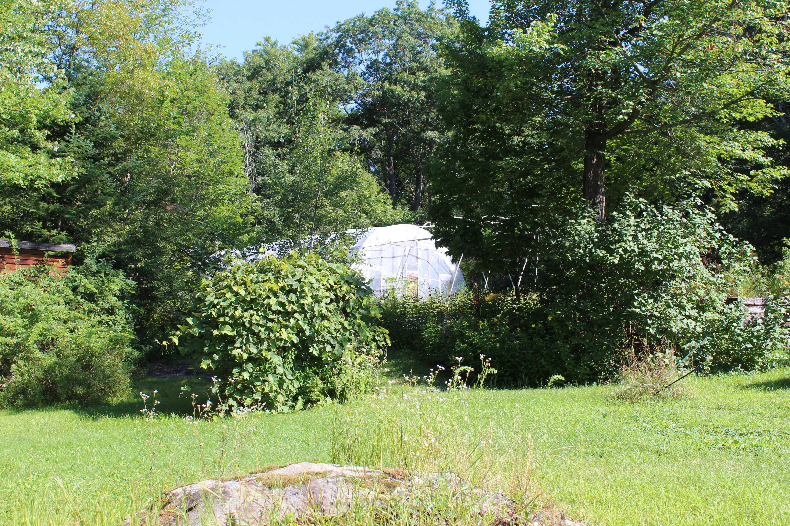 28 Back Bryant Road Buckfield, ME 04220 - Photo 56 of 68 IMG_6285