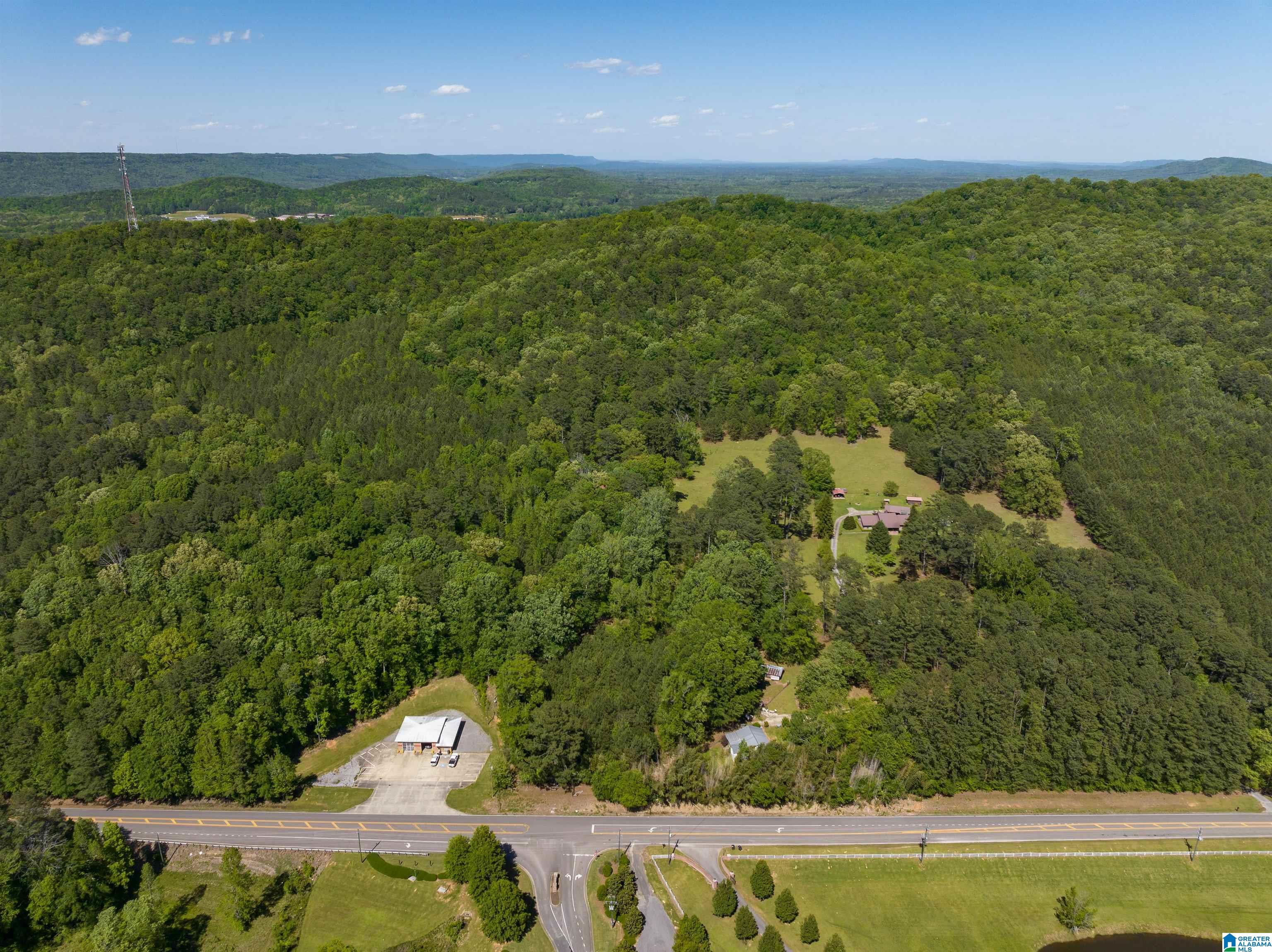 1649 Highway 174 Springville, AL 35146 - Photo 1 of 8