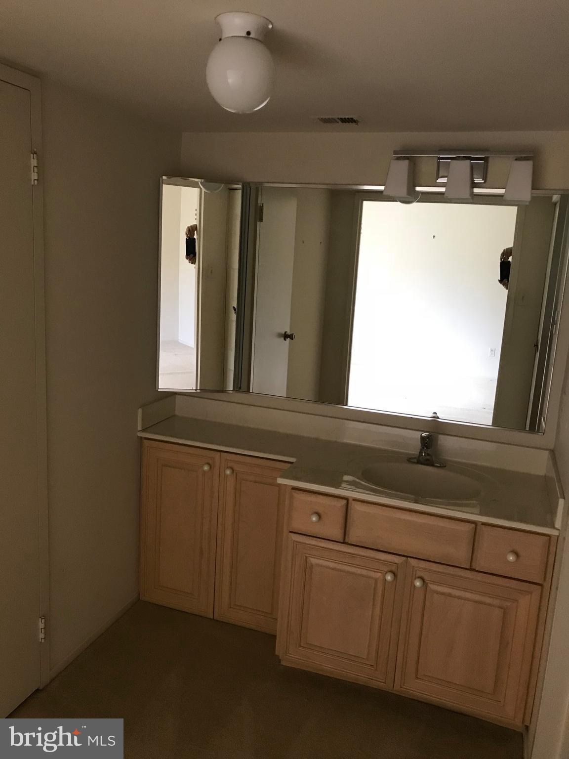 2817 Jermantown Road, Unit 203 Oakton, VA 22124 - Photo 17 of 22 a bathroom with a sink and a mirror