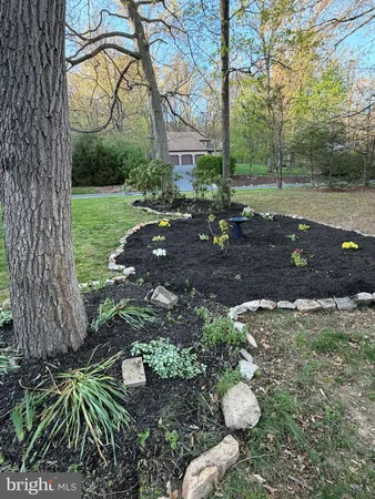 a view of a garden with a tree