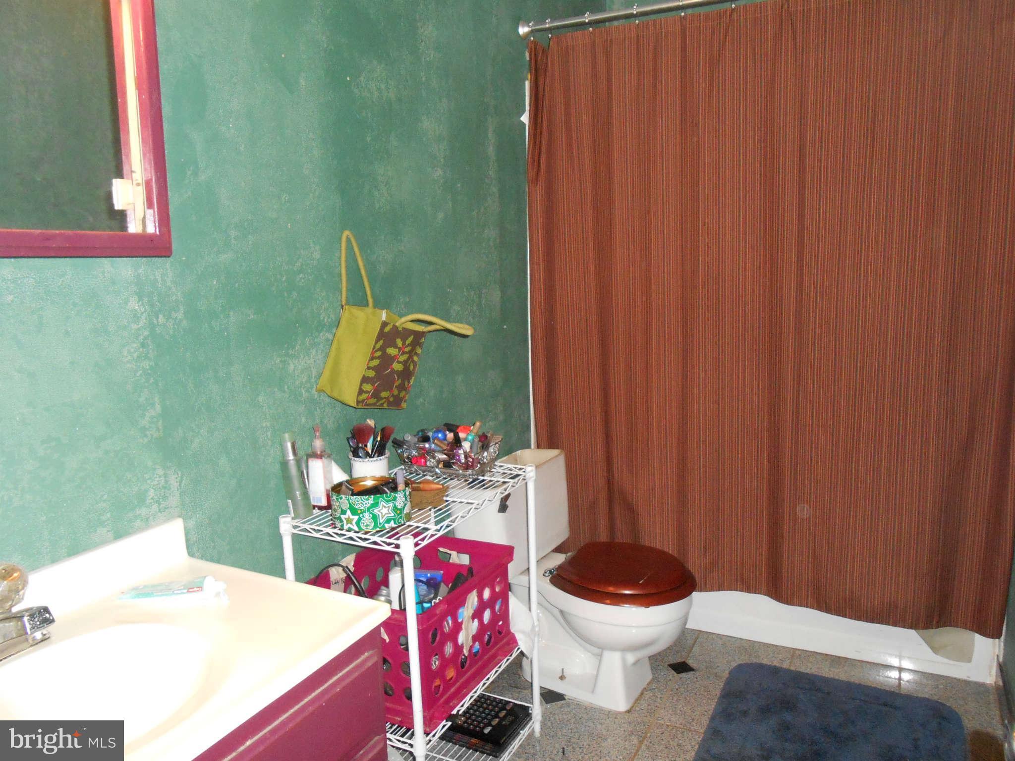 828 Jonathan Road Linden, VA 22642 - Photo 11 of 24 a bathroom with a sink mirror vanity and toilet
