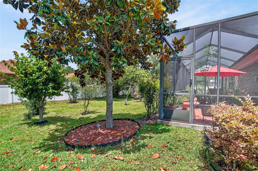 10232 Holland Road Riverview, FL 33578 - Photo 55 of 62