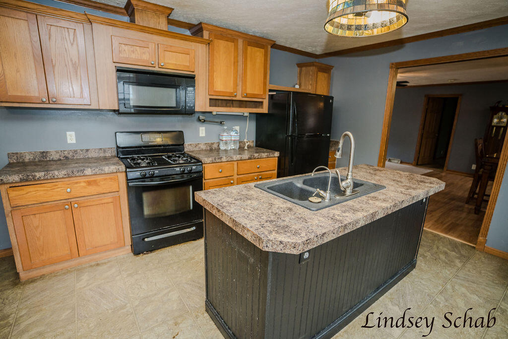 2299 Lyle Road Ionia, MI 48846 - Photo 10 of 47