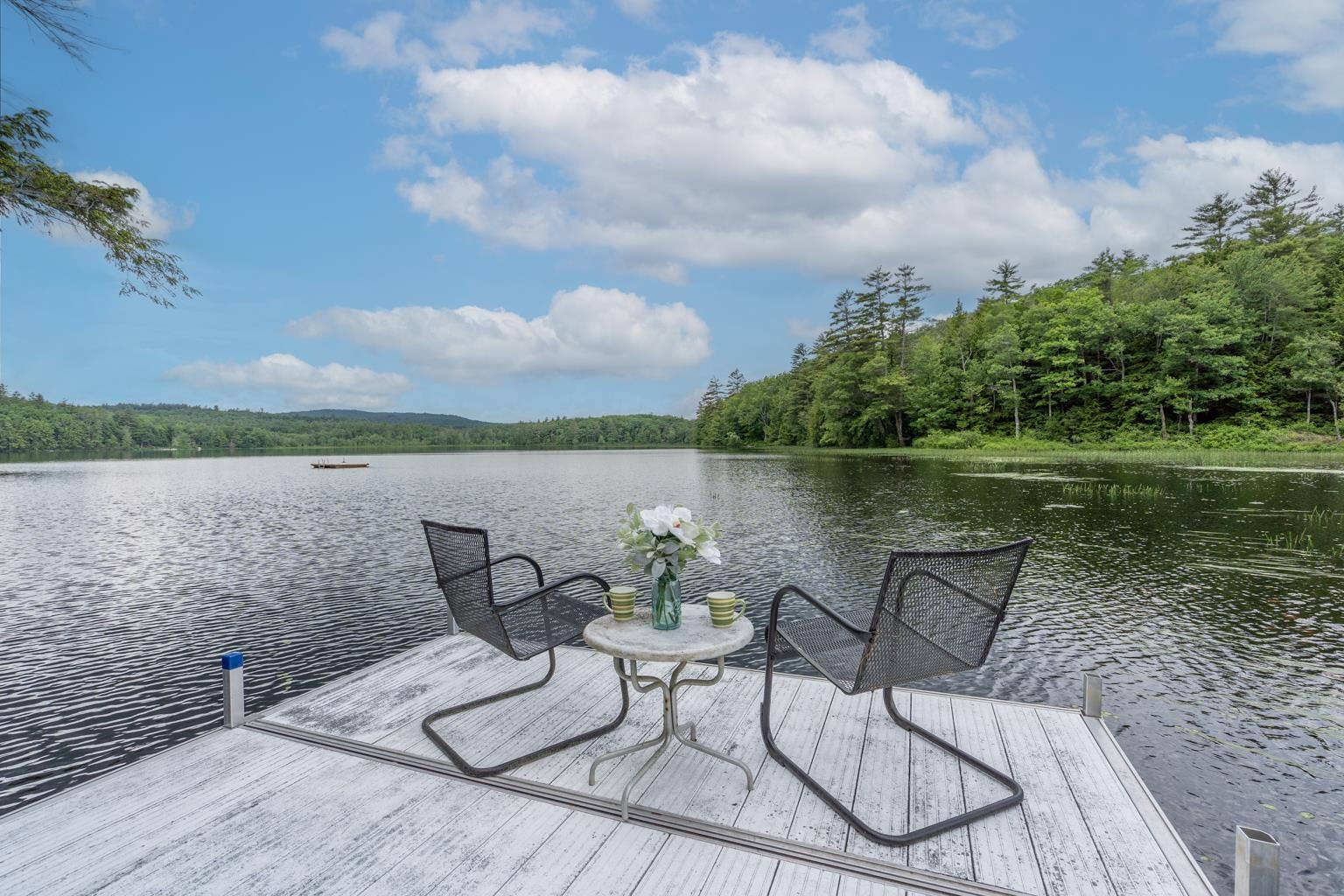 310 Wild Goose Pond Road Pittsfield, NH 03263 - Photo 1 of 36