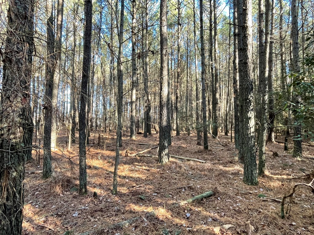 30.5 Elmore Road, Unit 2A2B Painter, VA 23420 - Photo 27 of 28