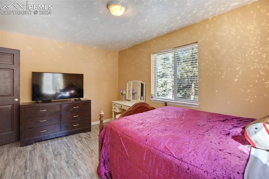 833 Spring Valley Drive Divide, CO 80814 - Photo 27 of 50 a bedroom with a bed and a flat screen tv