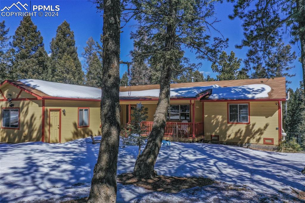 833 Spring Valley Drive Divide, CO 80814 - Photo 3 of 50 a view of a house with backyard porch and sitting area