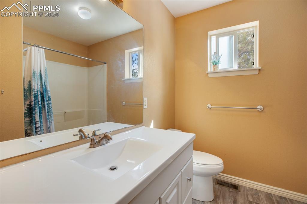 833 Spring Valley Drive Divide, CO 80814 - Photo 31 of 50 a bathroom with a sink mirror vanity and toilet