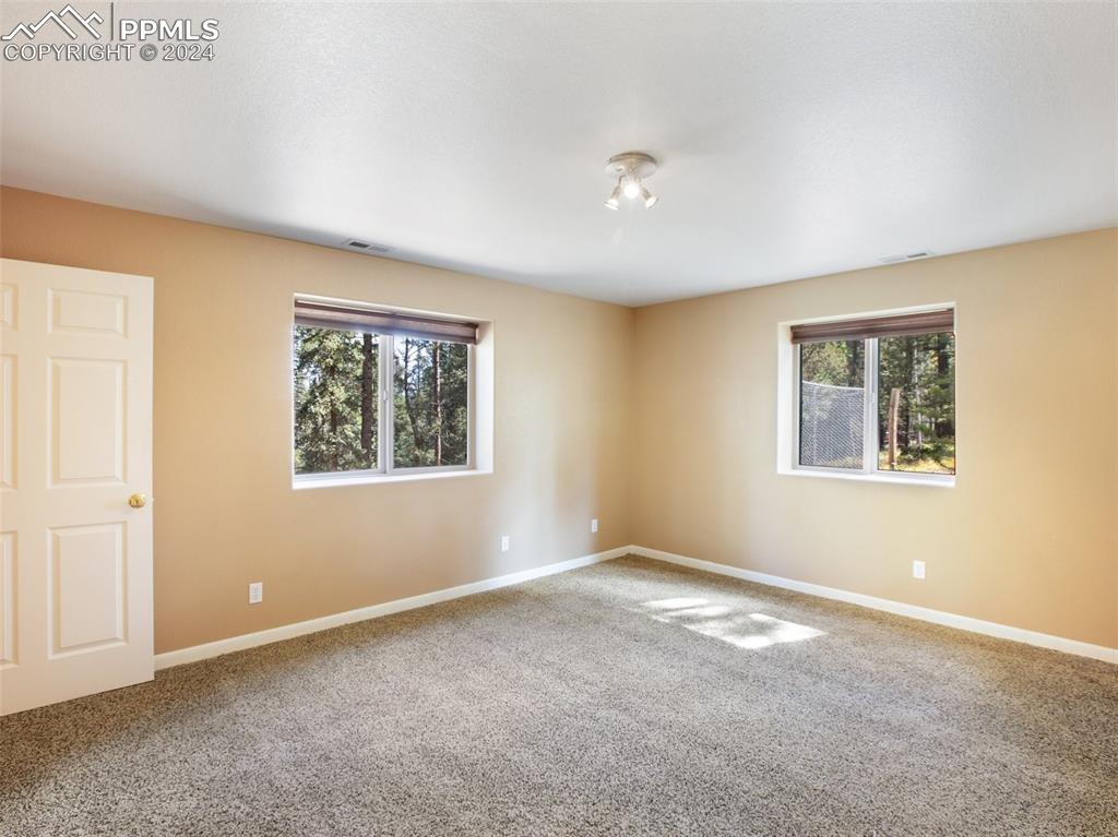833 Spring Valley Drive Divide, CO 80814 - Photo 36 of 50 an empty room with windows