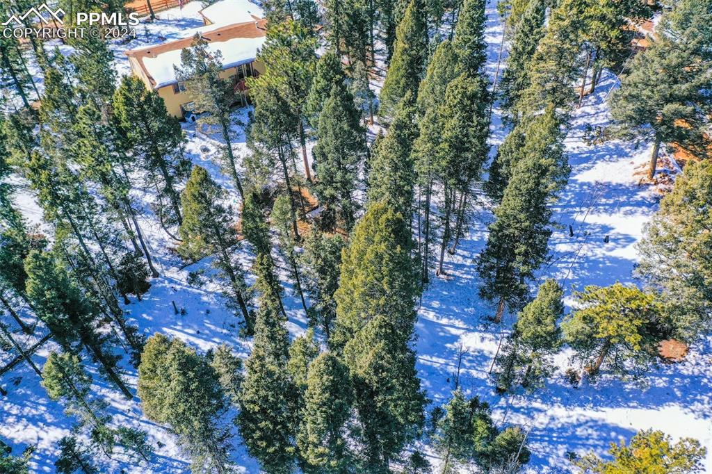 833 Spring Valley Drive Divide, CO 80814 - Photo 38 of 50 a view of a city