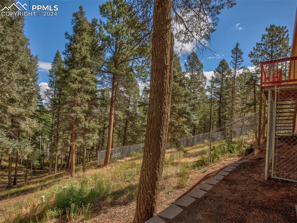 833 Spring Valley Drive Divide, CO 80814 - Photo 41 of 50 a view of a outdoor space