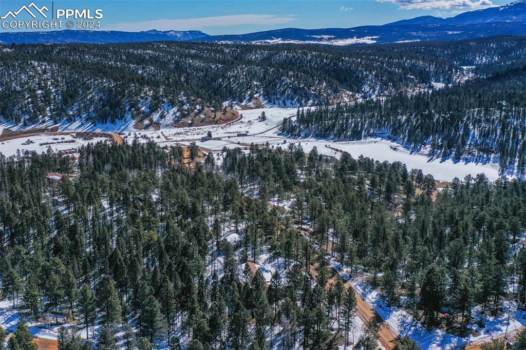 833 Spring Valley Drive Divide, CO 80814 - Photo 44 of 50 a view of a city