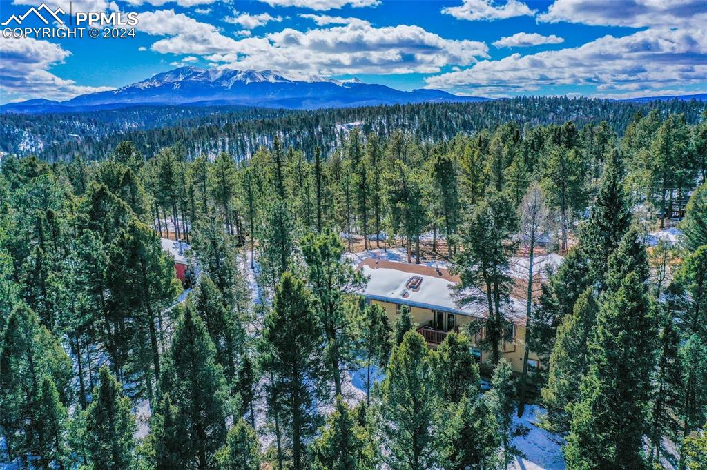 833 Spring Valley Drive Divide, CO 80814 - Photo 46 of 50