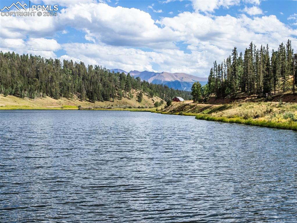 833 Spring Valley Drive Divide, CO 80814 - Photo 49 of 50 a view of a terrace with a yard