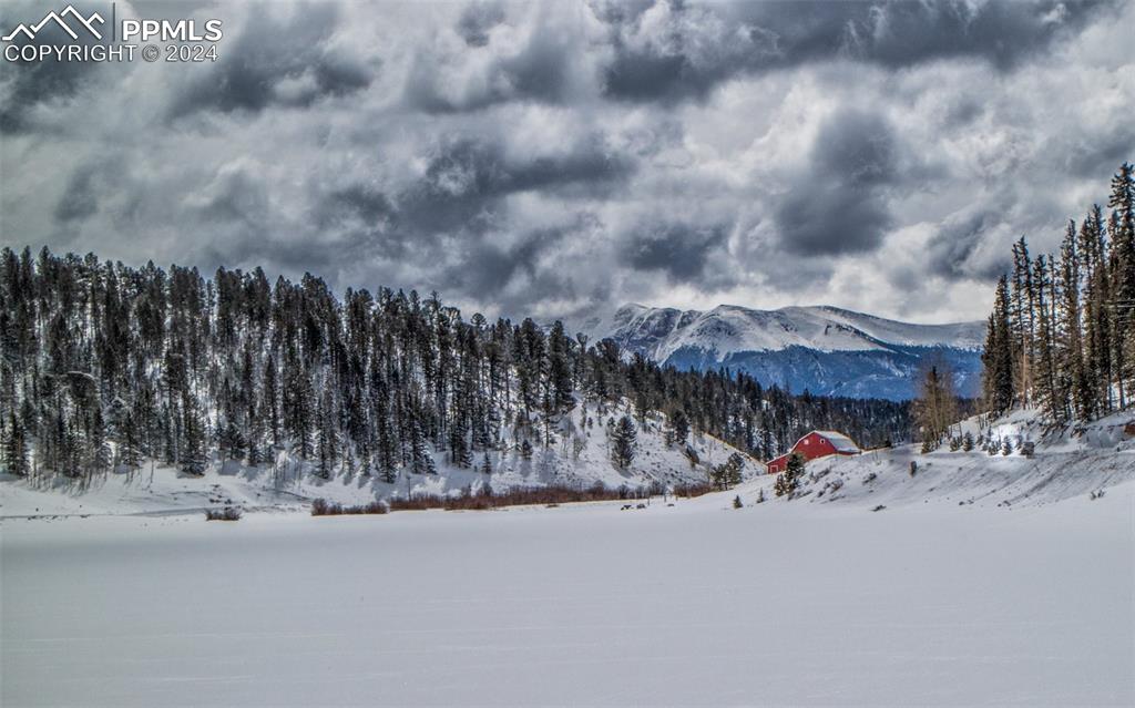 833 Spring Valley Drive Divide, CO 80814 - Photo 50 of 50 a view of a street with a bench in the back yard