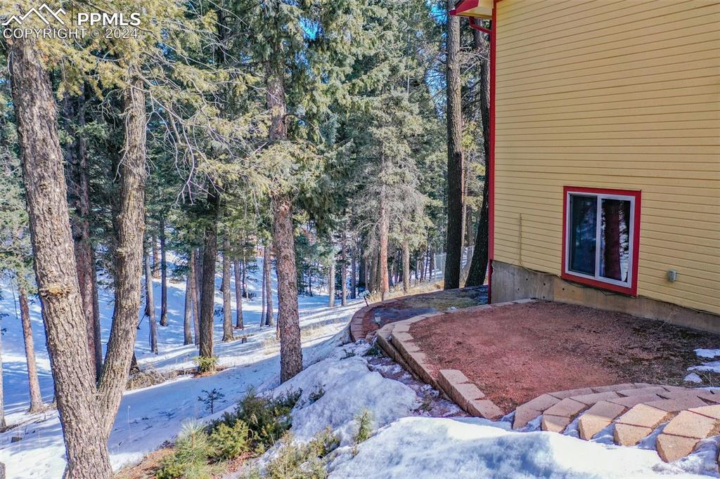 833 Spring Valley Drive Divide, CO 80814 - Photo 6 of 50 a view of a backyard with large trees