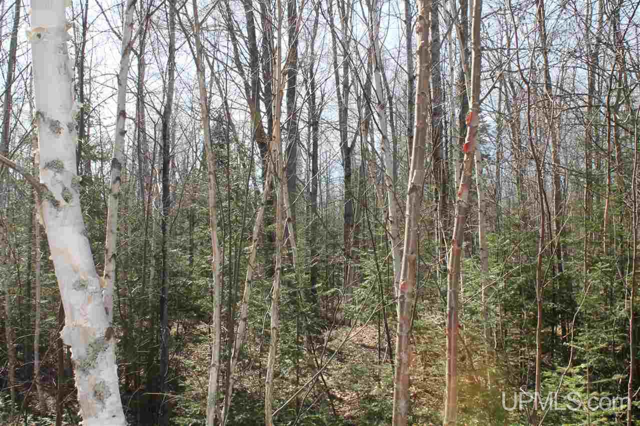 Tbd Reeds Point Road, Unit LAT 46 89919 LON 88 2455 Lanse, MI 49946 - Photo 7 of 19
