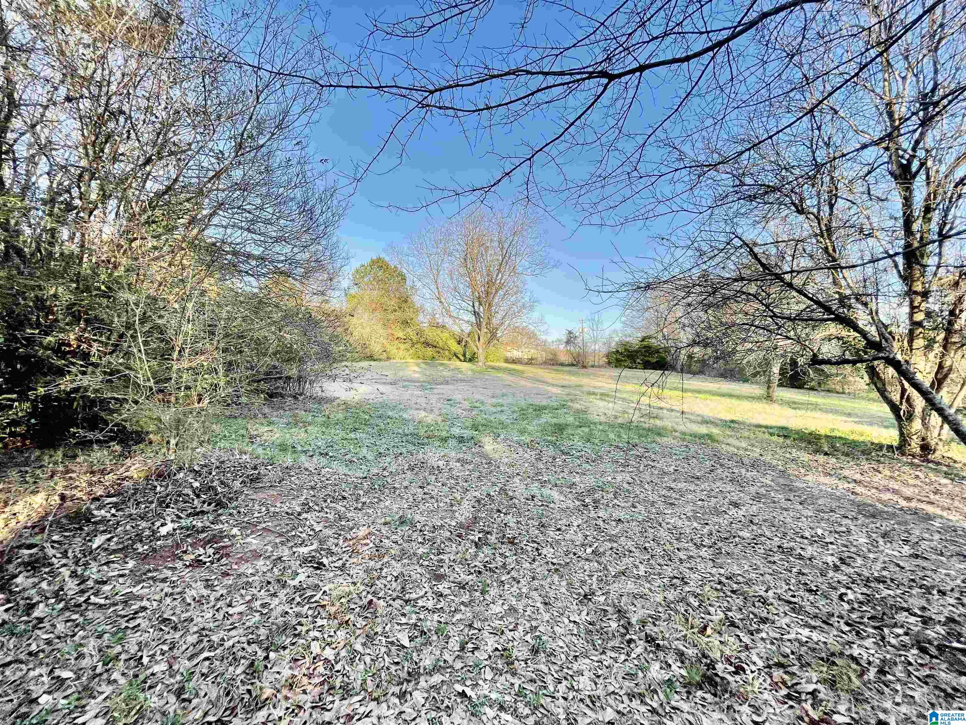 263 Westover Road Anniston, AL 36201 - Photo 17 of 61