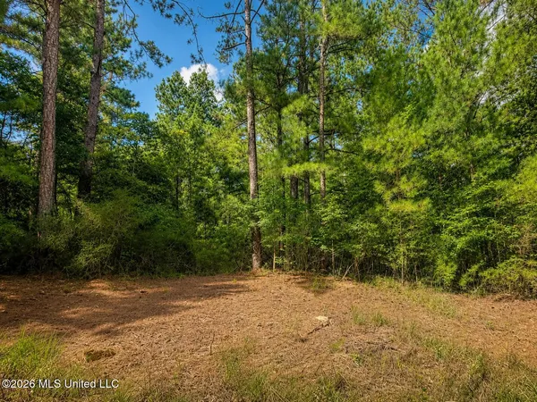 $36,000 | 4.39-acres Man Moulds Road, Lucedale, MS 39452