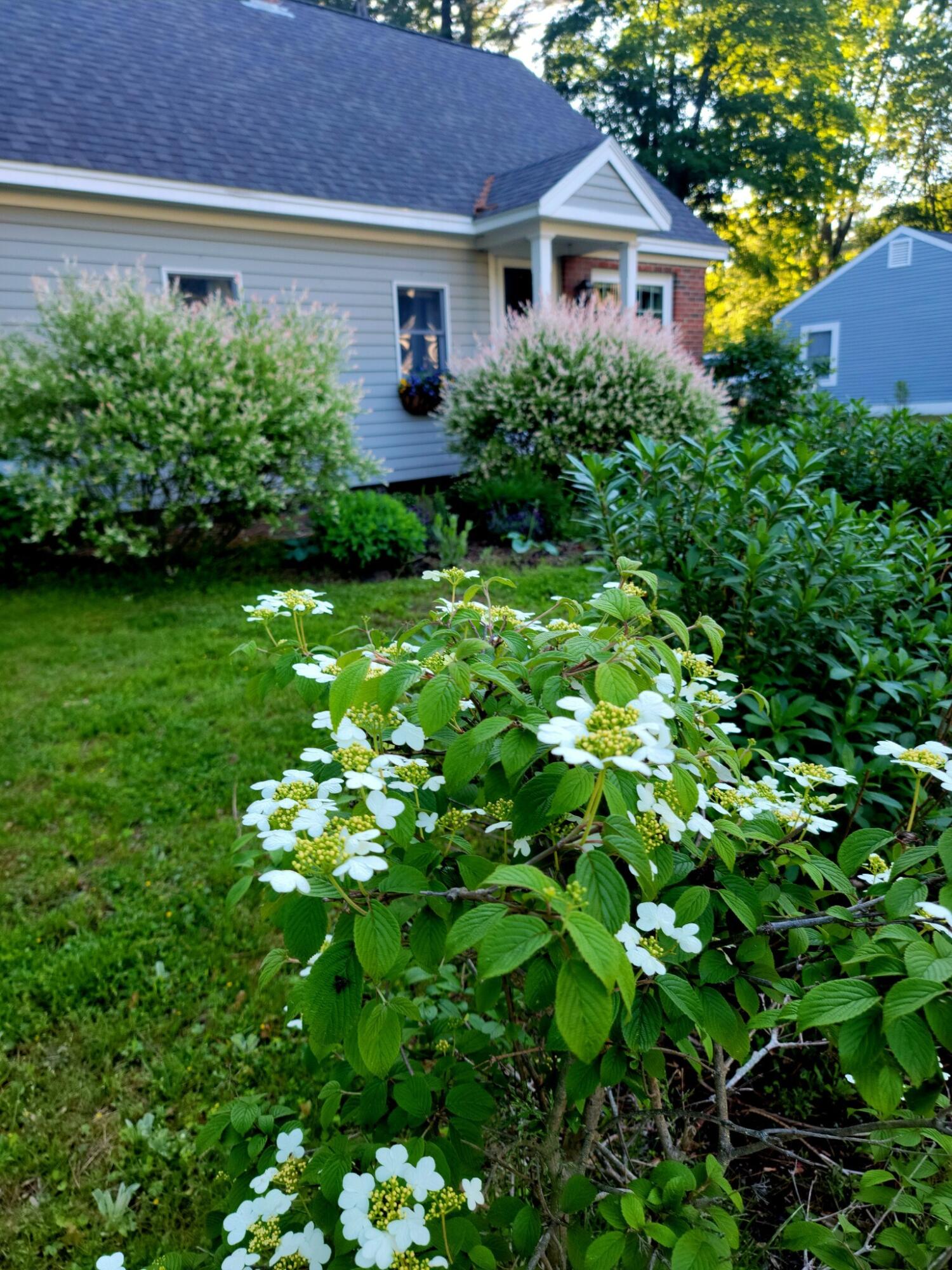 5 Birch Road Kennebunk, ME 04043 - Photo 3 of 37 IMG_0874