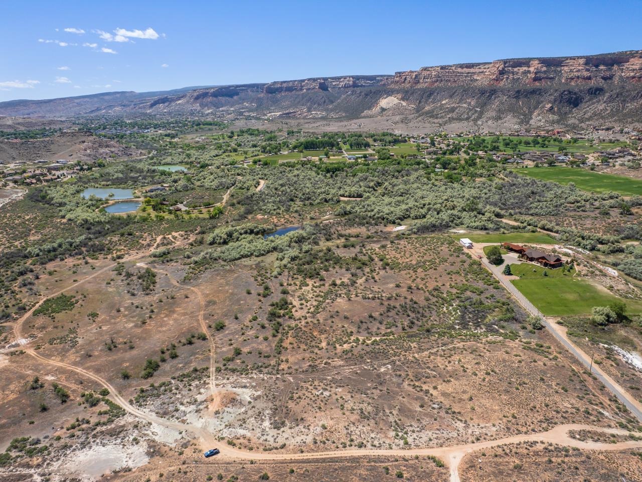 2085 East 1/2 Road Grand Junction, CO 81507 - Photo 10 of 10 a view of a lush green field with lots of plants in it