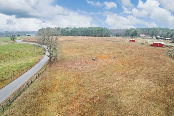 a view of a yard with trees