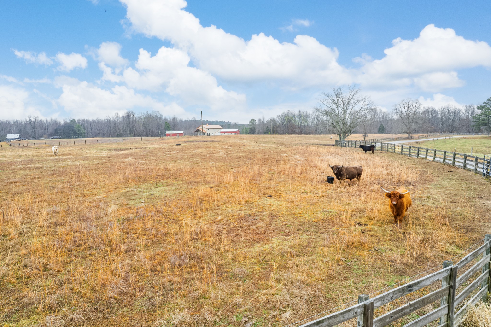 1221 Johnson Branch Road Pulaski, TN 38478 - Photo 82 of 98