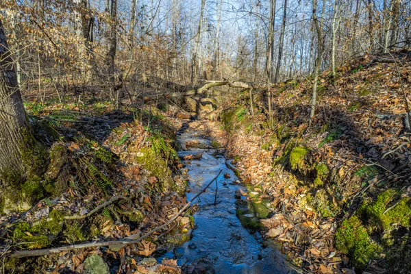 $1,373,000 | 1221 Johnson Branch Road, Pulaski, TN 38478